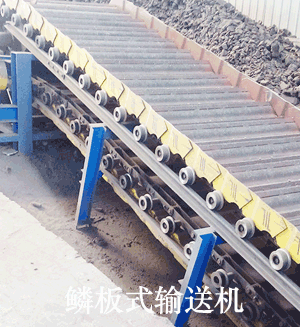 鱗板輸送機(jī)